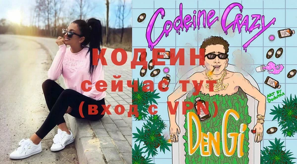 индика Алексеевка
